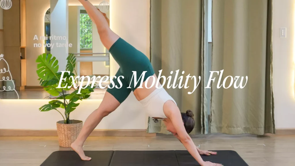 Express Mobility Flow